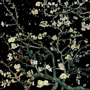 什么样的网站是免费黄片网站
