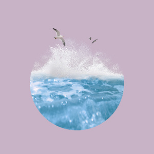 什么样的网站是免费黄片网站
