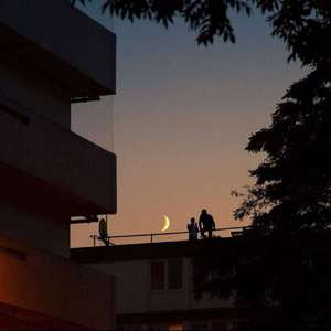 什么样的网站是免费黄片网站
