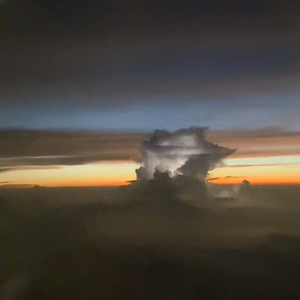 什么样的网站是免费黄片网站
