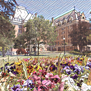 什么样的网站是免费黄片网站
