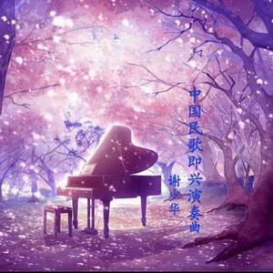 什么样的网站是免费黄片网站
